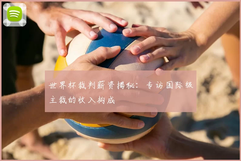 世界杯裁判薪资揭秘:专访国际级主裁的收入构成