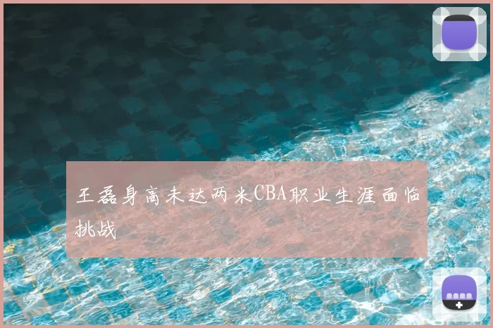 王磊身高未达两米CBA职业生涯面临挑战