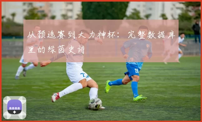 从预选赛到大力神杯:完整数据库里的绿茵史诗