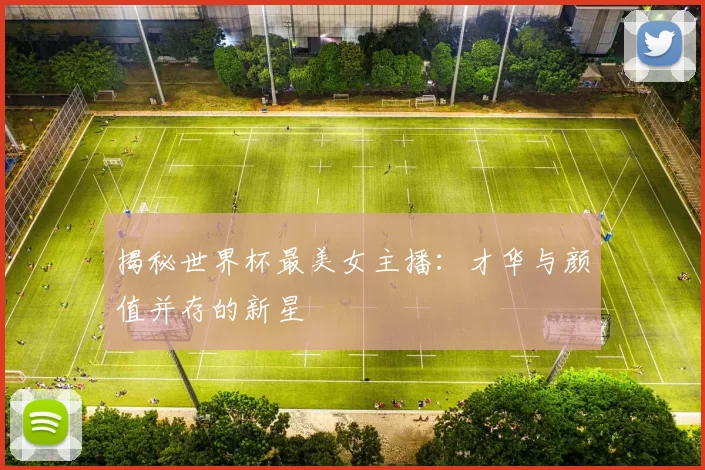 揭秘世界杯最美女主播:才华与颜值并存的新星