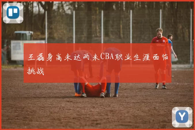 王磊身高未达两米CBA职业生涯面临挑战