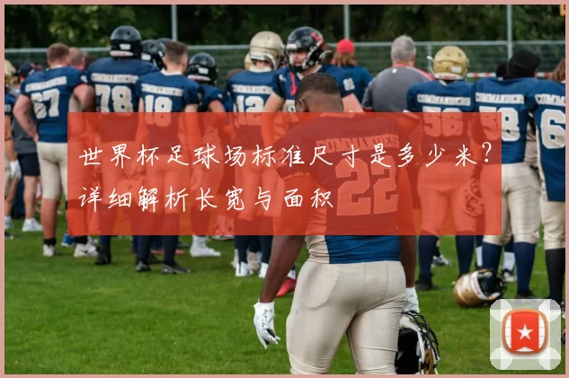 世界杯足球场标准尺寸是多少米?详细解析长宽与面积