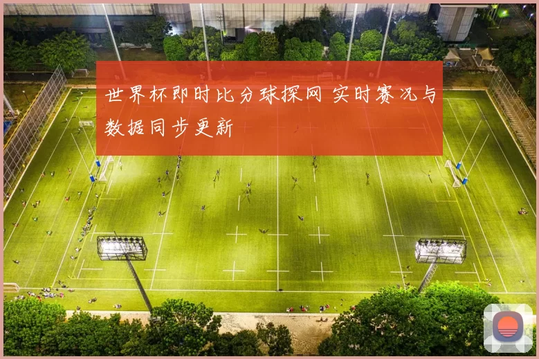 世界杯即时比分球探网 实时赛况与数据同步更新