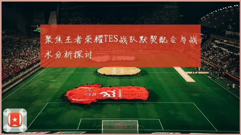 聚焦王者荣耀TES战队默契配合与战术分析探讨