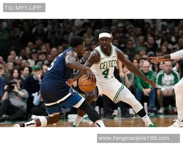 森林狼战绩起伏不定！专家解读球队当前困境